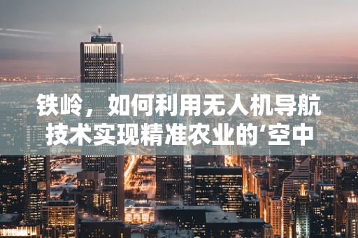 铁岭，如何利用无人机导航技术实现精准农业的‘空中之眼’？