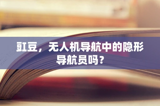 豇豆，无人机导航中的隐形导航员吗？