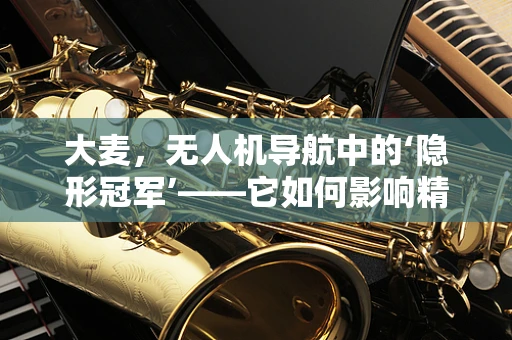 大麦，无人机导航中的‘隐形冠军’——它如何影响精准农业的未来？