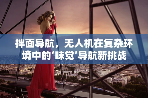 拌面导航，无人机在复杂环境中的‘味觉’导航新挑战