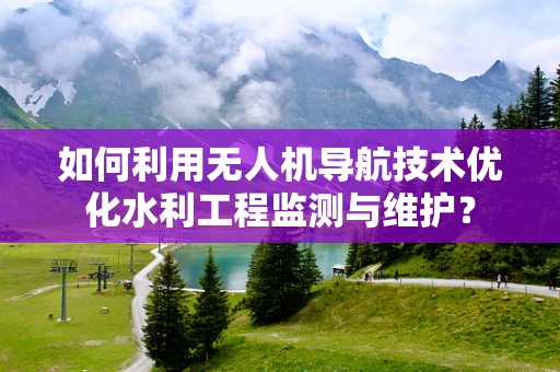 如何利用无人机导航技术优化水利工程监测与维护？