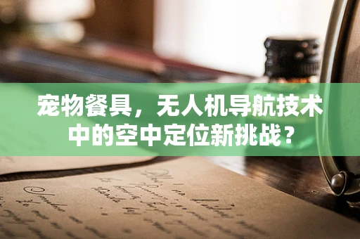 宠物餐具，无人机导航技术中的空中定位新挑战？