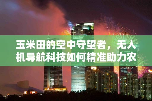 玉米田的空中守望者，无人机导航科技如何精准助力农业种植？