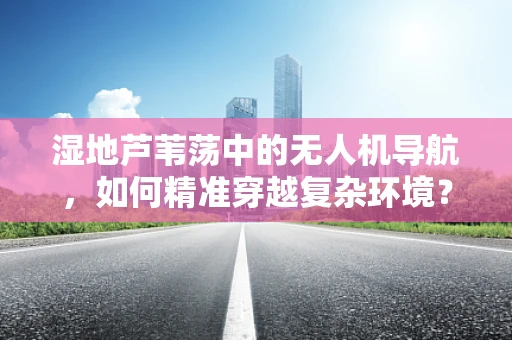 湿地芦苇荡中的无人机导航，如何精准穿越复杂环境？