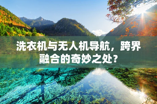 洗衣机与无人机导航，跨界融合的奇妙之处？