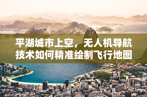 平湖城市上空，无人机导航技术如何精准绘制飞行地图？