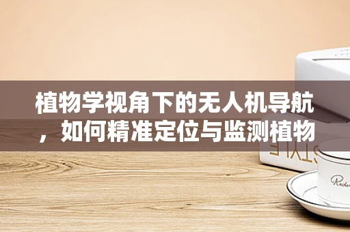 植物学视角下的无人机导航，如何精准定位与监测植物生长？
