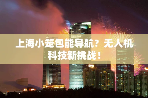上海小笼包能导航？无人机科技新挑战！