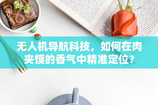 无人机导航科技，如何在肉夹馍的香气中精准定位？