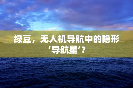 绿豆，无人机导航中的隐形‘导航星’？