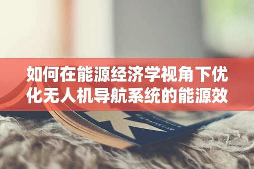 如何在能源经济学视角下优化无人机导航系统的能源效率？