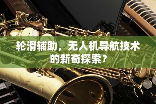 轮滑辅助，无人机导航技术的新奇探索？