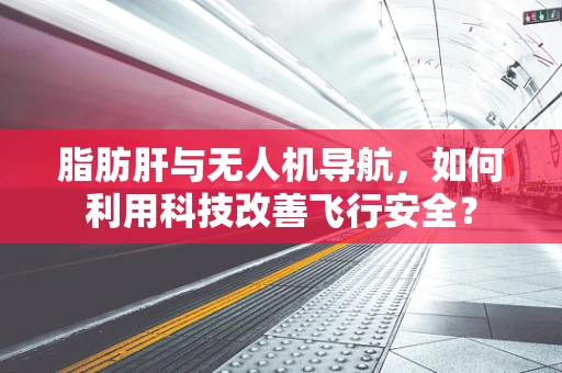 脂肪肝与无人机导航，如何利用科技改善飞行安全？