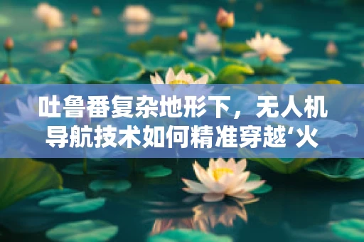 吐鲁番复杂地形下，无人机导航技术如何精准穿越‘火洲’的‘热浪’？