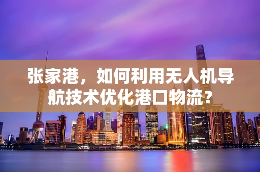 张家港，如何利用无人机导航技术优化港口物流？