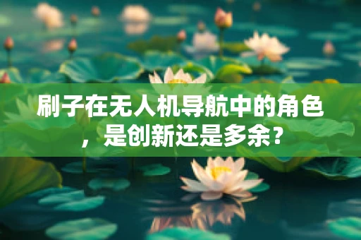 刷子在无人机导航中的角色，是创新还是多余？