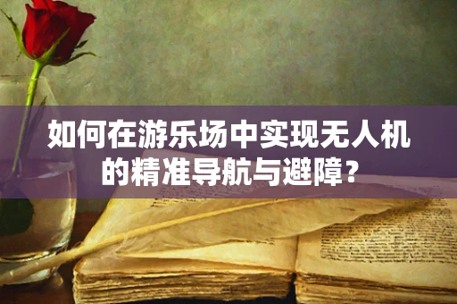 如何在游乐场中实现无人机的精准导航与避障？