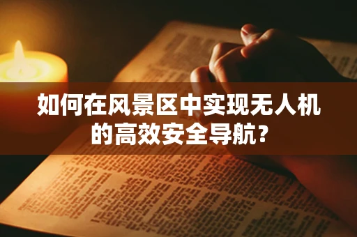 如何在风景区中实现无人机的高效安全导航？