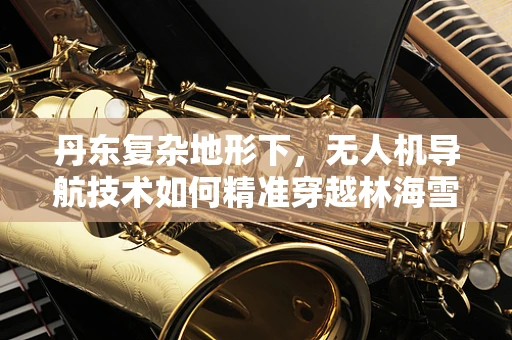 丹东复杂地形下，无人机导航技术如何精准穿越林海雪原？