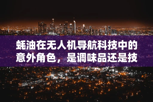 蚝油在无人机导航科技中的意外角色，是调味品还是技术革新？