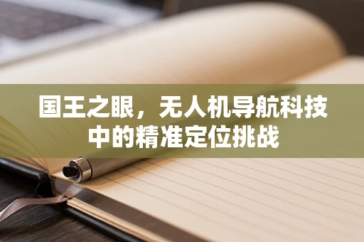 国王之眼，无人机导航科技中的精准定位挑战