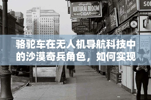 骆驼车在无人机导航科技中的沙漠奇兵角色，如何实现高效穿越？