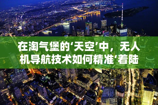 在淘气堡的‘天空’中，无人机导航技术如何精准‘着陆’？