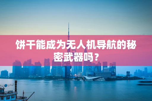 饼干能成为无人机导航的秘密武器吗？