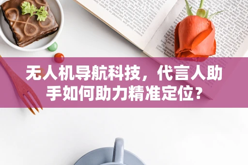无人机导航科技，代言人助手如何助力精准定位？