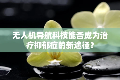 无人机导航科技能否成为治疗抑郁症的新途径？