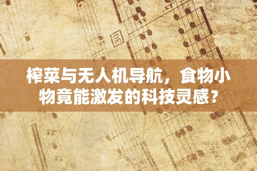 榨菜与无人机导航，食物小物竟能激发的科技灵感？