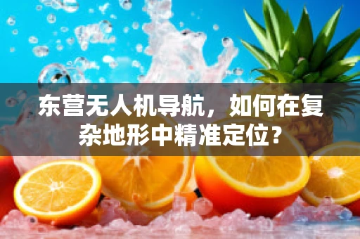 东营无人机导航，如何在复杂地形中精准定位？