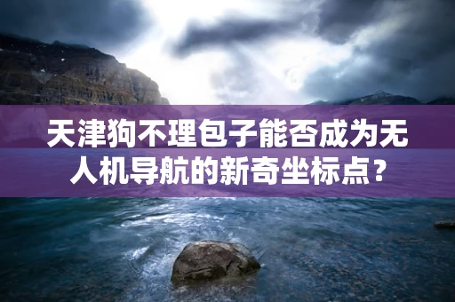 天津狗不理包子能否成为无人机导航的新奇坐标点？