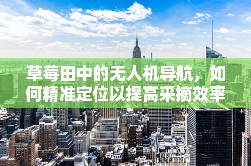 草莓田中的无人机导航，如何精准定位以提高采摘效率？