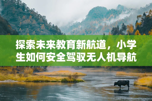 探索未来教育新航道，小学生如何安全驾驭无人机导航科技？