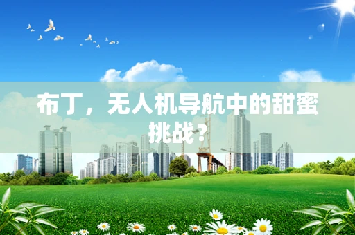 布丁，无人机导航中的甜蜜挑战？