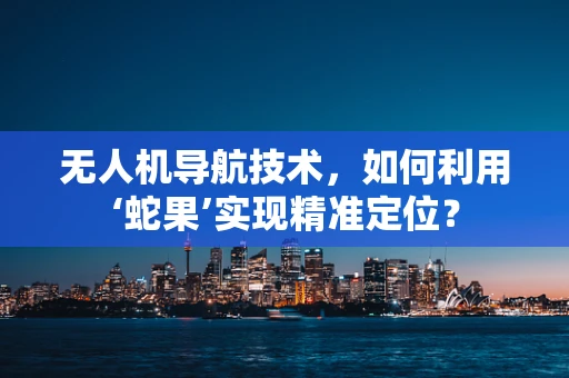 无人机导航技术，如何利用‘蛇果’实现精准定位？