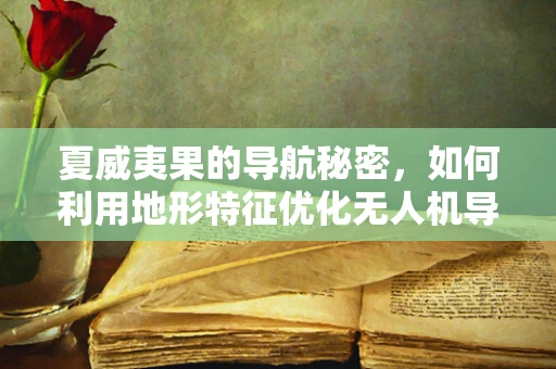 夏威夷果的导航秘密，如何利用地形特征优化无人机导航？