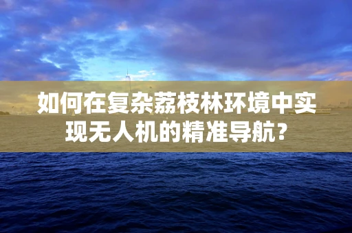 如何在复杂荔枝林环境中实现无人机的精准导航？