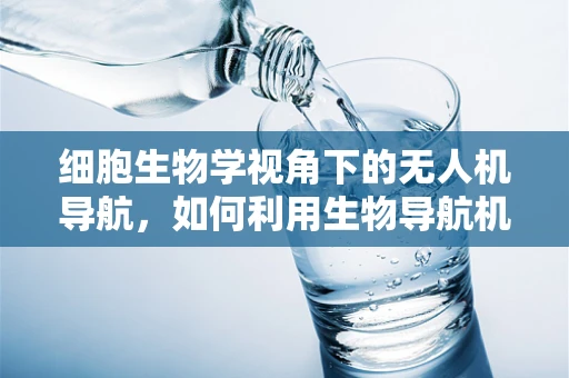 细胞生物学视角下的无人机导航，如何利用生物导航机制提升无人机自主性？