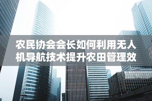 农民协会会长如何利用无人机导航技术提升农田管理效率？