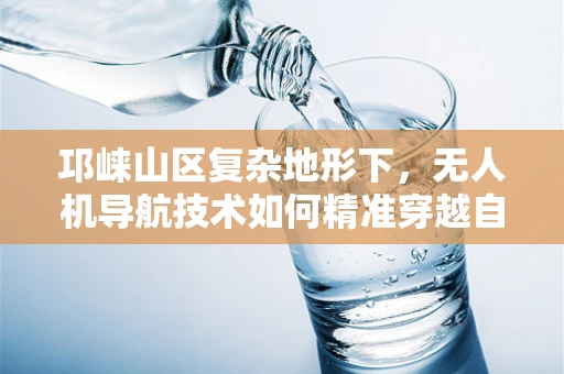 邛崃山区复杂地形下，无人机导航技术如何精准穿越自然障碍？