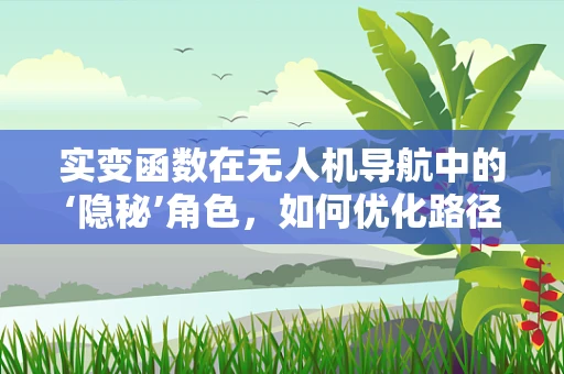 实变函数在无人机导航中的‘隐秘’角色，如何优化路径规划？