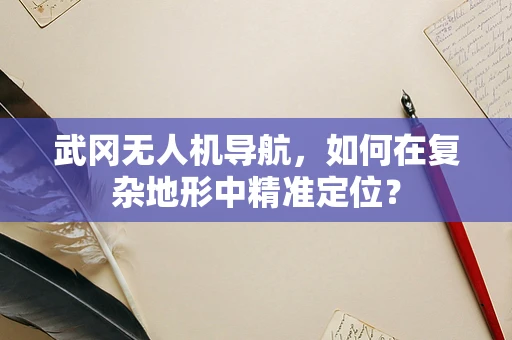 武冈无人机导航，如何在复杂地形中精准定位？