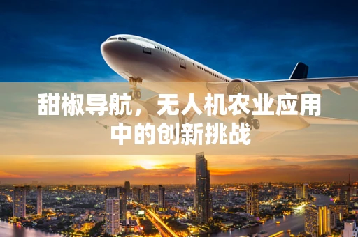 甜椒导航，无人机农业应用中的创新挑战