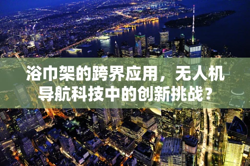 浴巾架的跨界应用，无人机导航科技中的创新挑战？