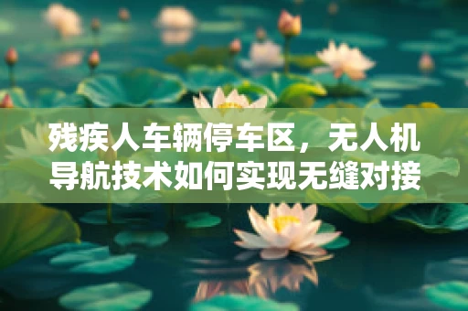 残疾人车辆停车区，无人机导航技术如何实现无缝对接？