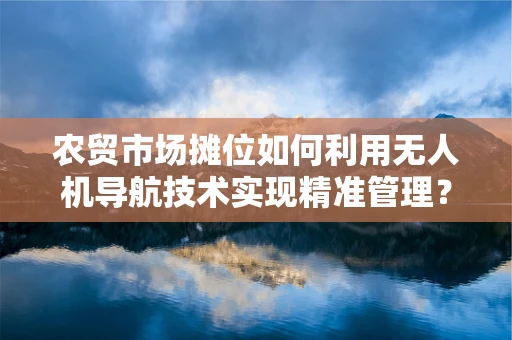 农贸市场摊位如何利用无人机导航技术实现精准管理？