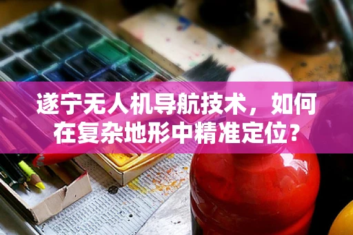 遂宁无人机导航技术，如何在复杂地形中精准定位？