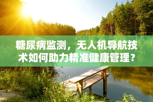 糖尿病监测，无人机导航技术如何助力精准健康管理？